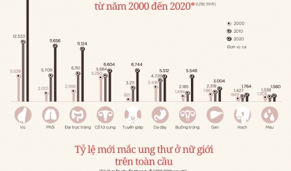 Các loại ung thư thường gặp ở phụ nữ Việt